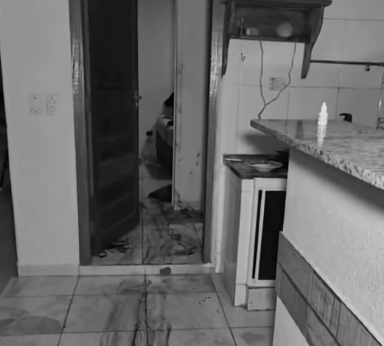 casa ensanguentada.PNG