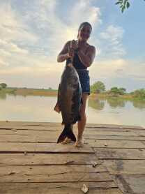 pescadora fisga tambaqui de 18 e 25kg