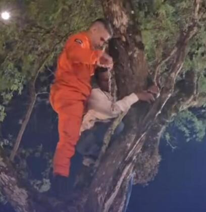 Vídeo: Homem se acorrenta em árvore para protestar contra incêndio em sua propriedade