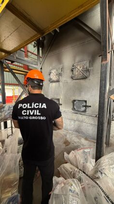 incineracao
