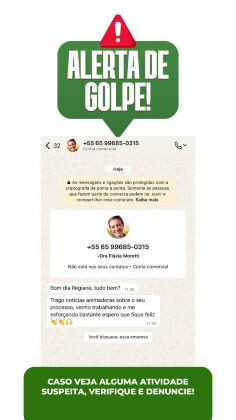 flavia golpe