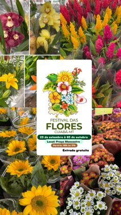 Nesta edição, serão apresentadas mais de 200 espécies de flores