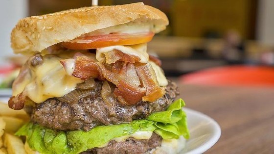 Hamburguer sanduíche colesterol
