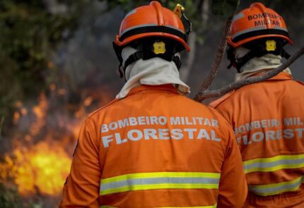 Bombeiros 
