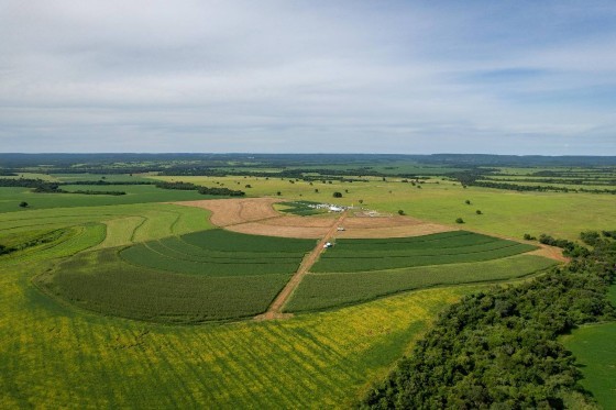 PLANTAÇÃO SOJE E MILHO VALE DO ARAGUAIA APROSOJA .jpg