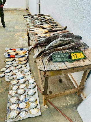 peixe sema