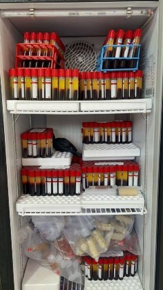 PRODUTOS PROIBIDOS FECHAMENTO CLINICA DE ESTETICA PETROPOLIS 22 09.jpg