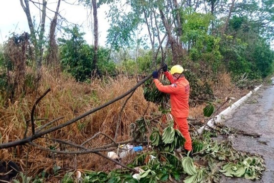 BOMBEIRO CORTANDO ARVORES CAMPO VERDE E SINOP.jpg
