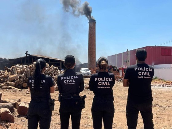 incineração de drogas