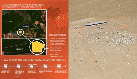 MONTAGEM DENUNCIA GREENPEACE LAVEGM DE GADO.JPG