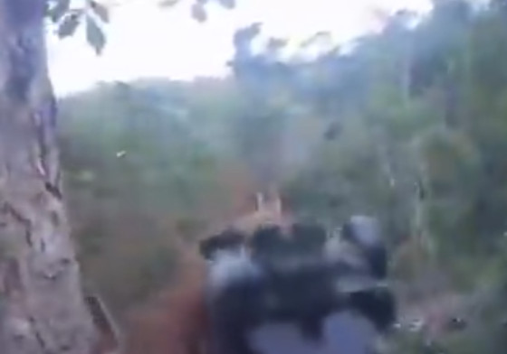 arma sarare.PNG