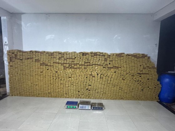 dois mil tabletes de maconha.jpg