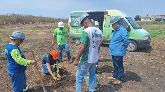 PROGRAMA VERDE TJMT.jpg