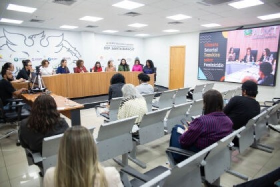 CAMARA ALMT SEGURANCA MULHER.jpg