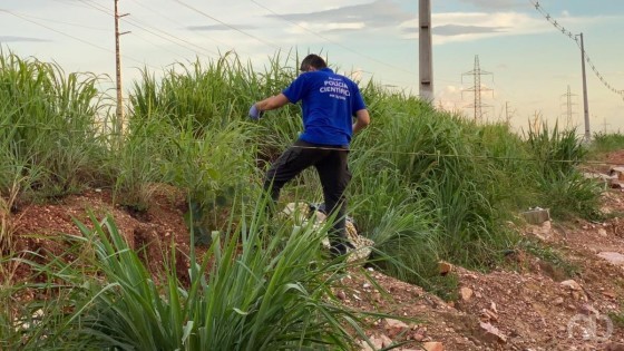 corpo imigrantes.jpg