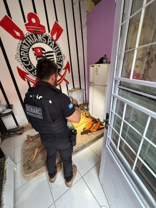 Operação tráfico 