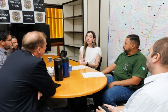 A secretária Municipal de Ordem Pública (SORP), Juliana Chiquito Palhares, em reunião. 