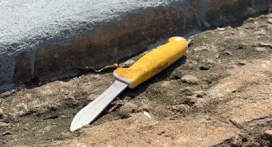 ocorrencia pontes e lacerda