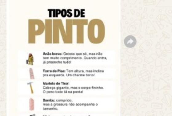 TIPOS DE PINTO