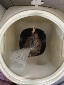 Açougue é interditado por carne em contato com o chão e total falta de higiene