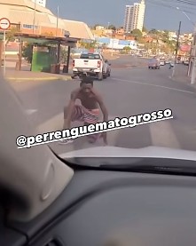 https://cdn.hnt.com.br/storage/webdisco/2025/10/17/370x278/21900eacc127c60411c5673a18d0e5b9.jpeg