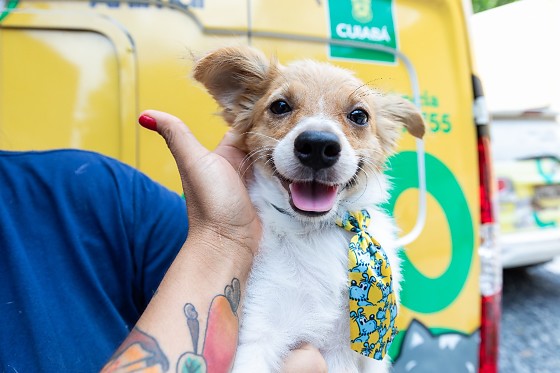 CACHORRO VACINAÇÃO PREF.jpg