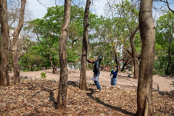 revitalização morro da luz prefeitura .jpg