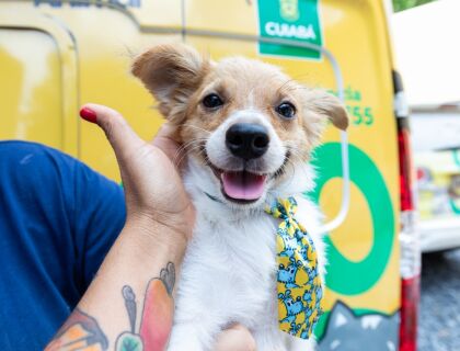 CACHORRO VACINAÇÃO PREF.jpg