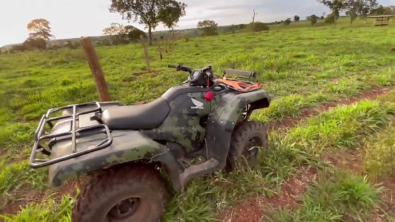 quadriciclo no mato fazenda.jpg