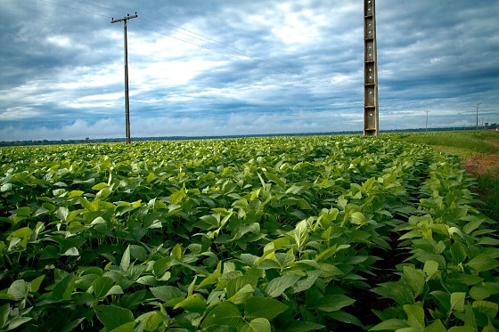 APROSOJA E REDE DE ENERGIA ENERGISA.jpg