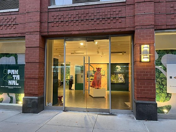 A mostra, que segue até domingo (02.11), transforma o bioma em arte viva, reunindo fotografia, gastronomia, música e debates