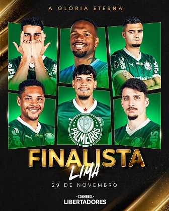 PALMEIRAS FINALISTA DA LIBERTADORES.jpg