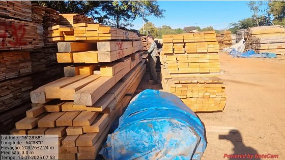 Madeira apreendida