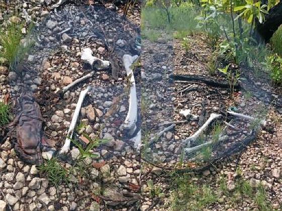 Ossada humana Coxipó do Ouro