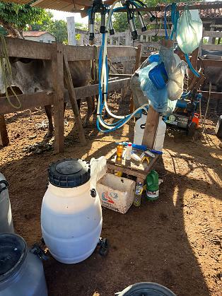 Operação ordenha em Rosário Oeste