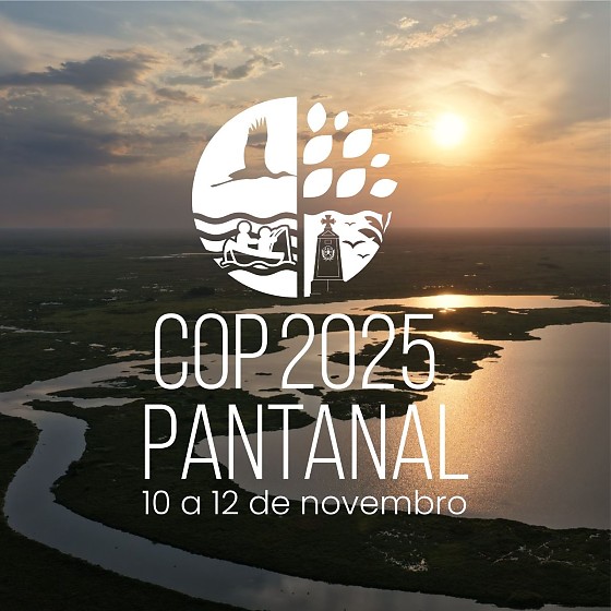 Cop Pantanal