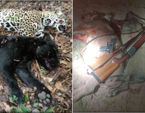 Operação Mykyara II