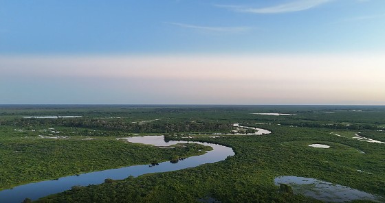 Pantanal