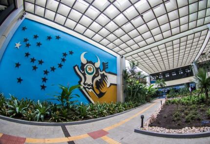 MURAL PALÁRIO PAIAGUÁS