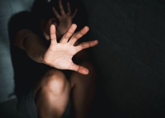 Femincídio violência contra mulher  violência de gênero
