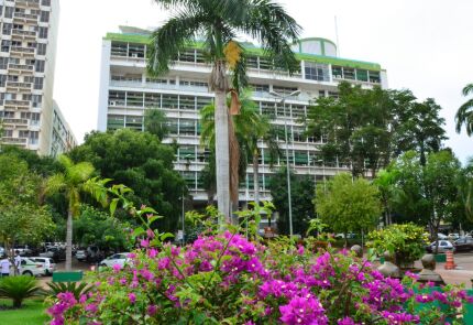 prefeitura de cuiabá flores.jpeg