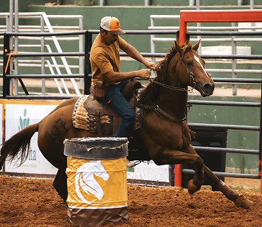 semana do cavalo 2020