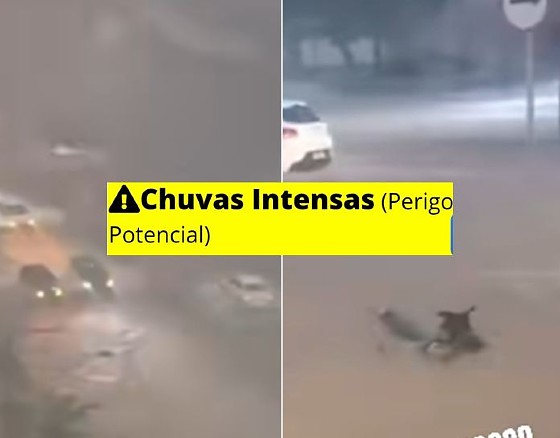 alcinobarcelos-ulyssesmoraes-hnt (1).jpg