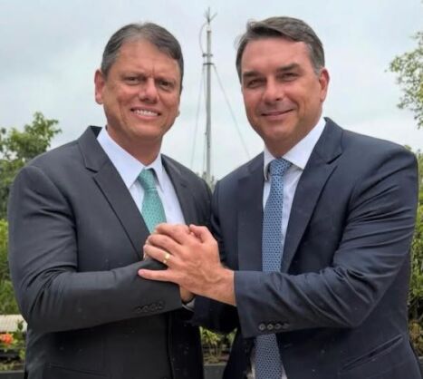TARCISIO FREITAS FLAVIO BOLSONARO