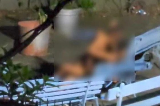 casal fazendo sexo rio