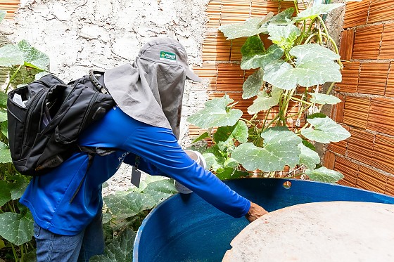 TRATAMENTO DENGUE .jpeg