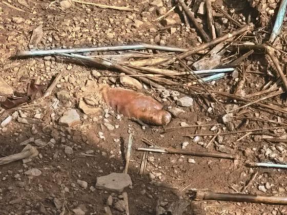 CORPO HOMEM DIAMANTINO