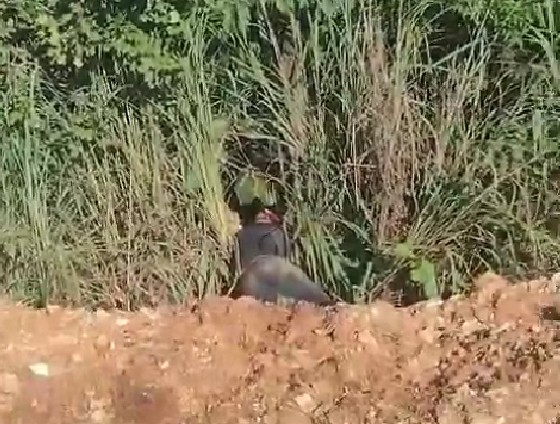 Corpo de homem no matagal em Cuiabá 