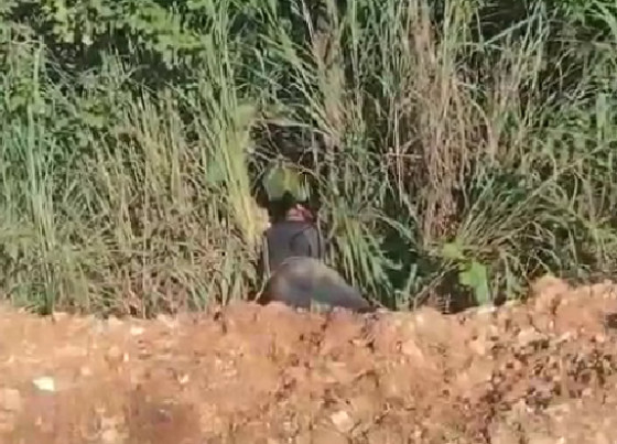 Corpo de homem no matagal em Cuiabá 