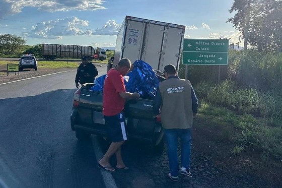 FISCALIZAÇÃO PEIXE INDEA